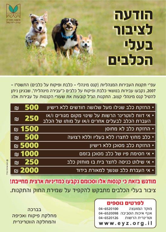 פיקוח כלבים