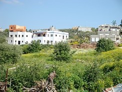 סואעד חמירה