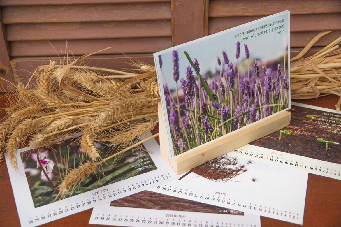 קטלוג דיגיטלי - מתנה יזרעאלית לחג