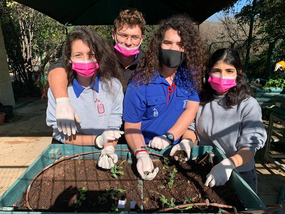 שינשינים מתנדבים בסב יום