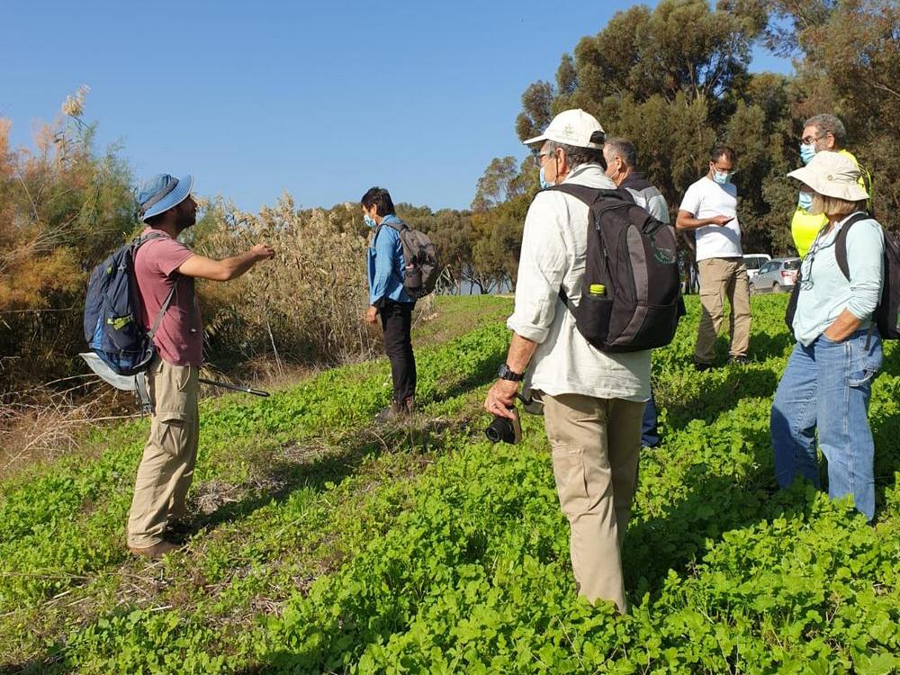 מנטרי הפרפרים בעמק