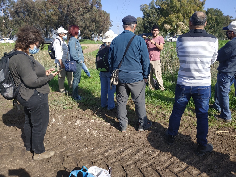 מנטרי הפרפרים בעמק