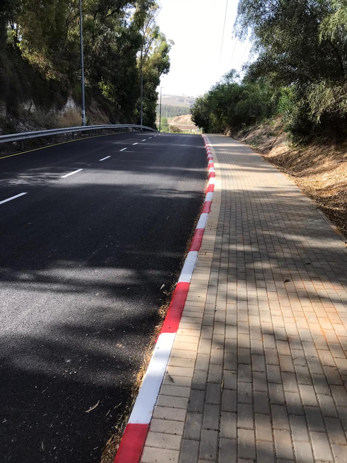 כביש הכניסה לציפורי