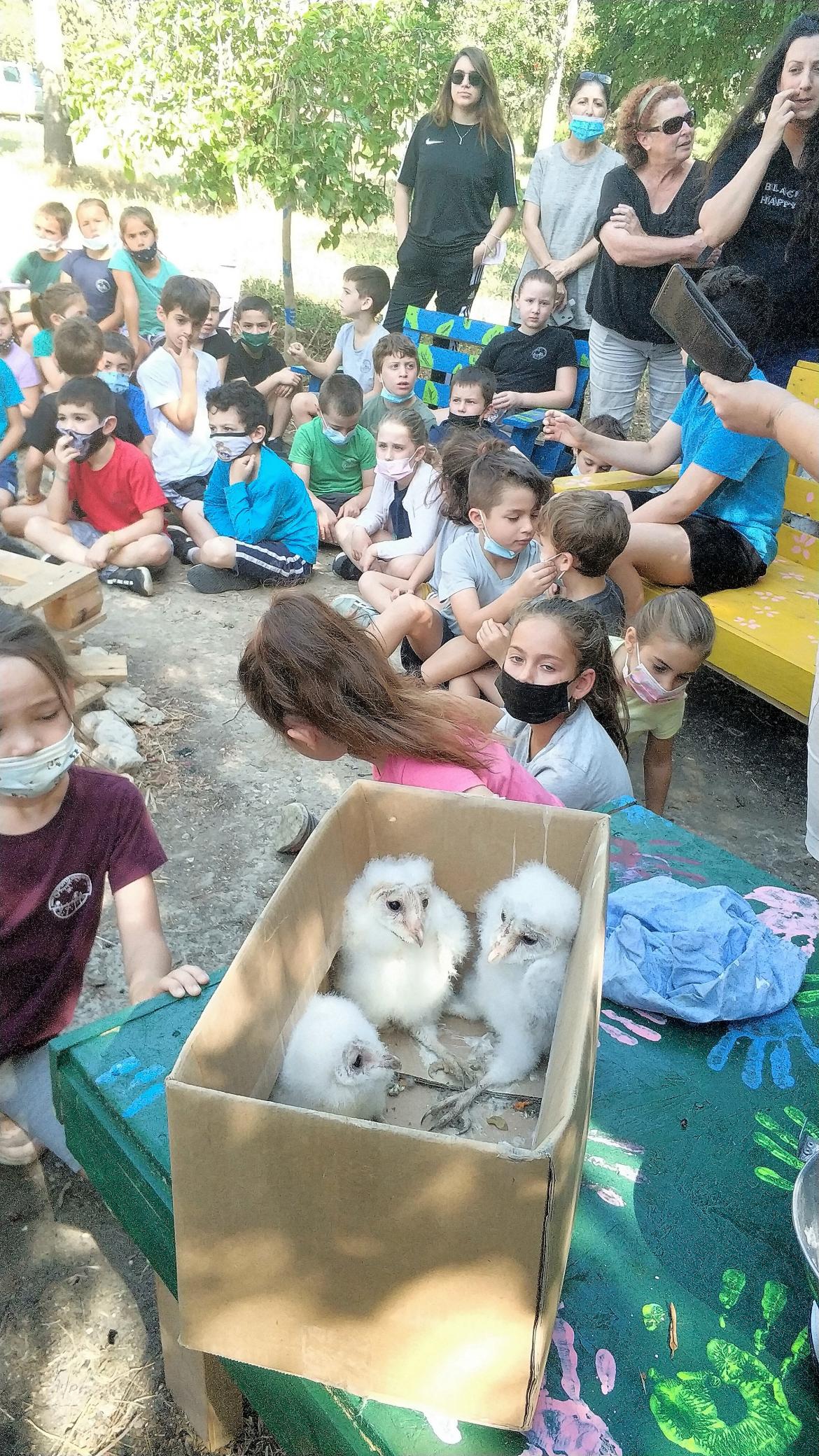ילדי בית ספר מרחבים כפר יהושע