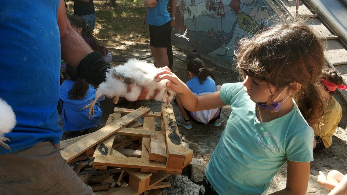 טיבוע תנשמות