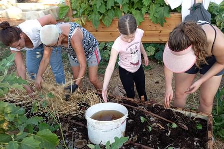 גינה קהילתית בשמשית