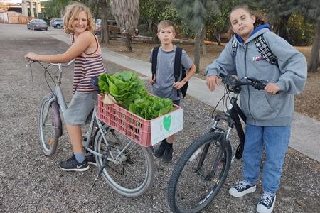 גינה קהילתית ברמת דוד