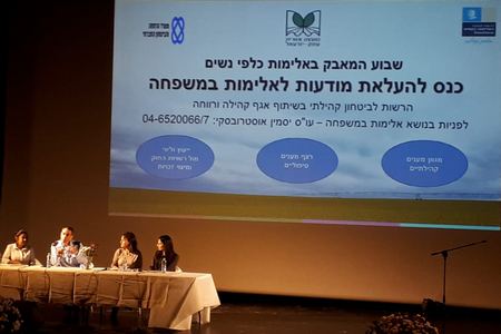 פאנל מקצועי בנושא המאבק באלימות כלפי נשים