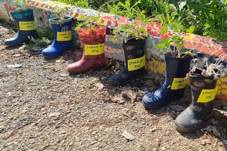 עציצי מגפיים בגן ירוק