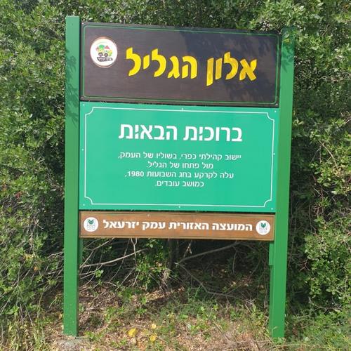 שלט הכניסה לאלון הגליל