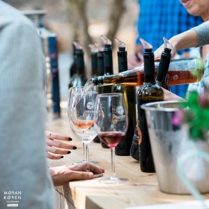 צילום יקב משק אופיר- צלם מורן קורן