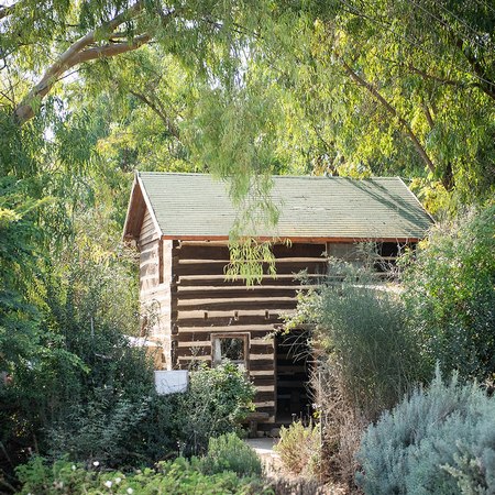 יקב משק אופיר- צלם מורן קורן