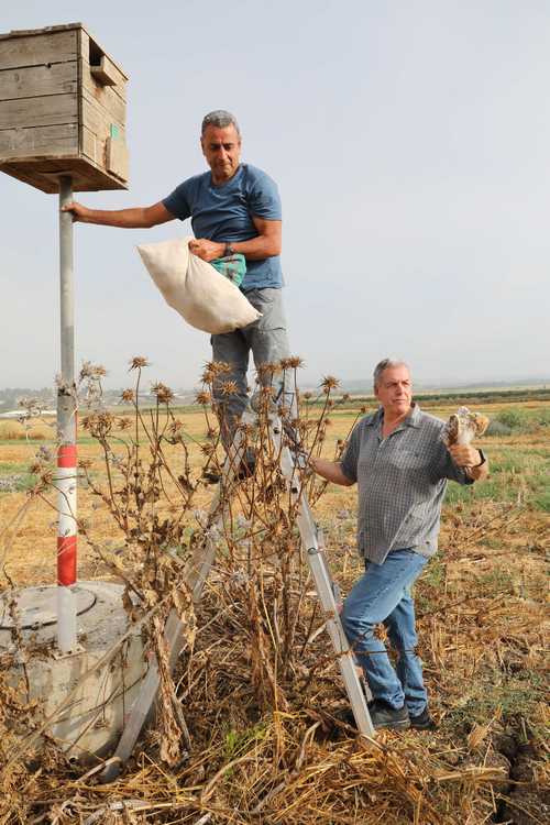 הצבת תיבת קינון לתנשמות