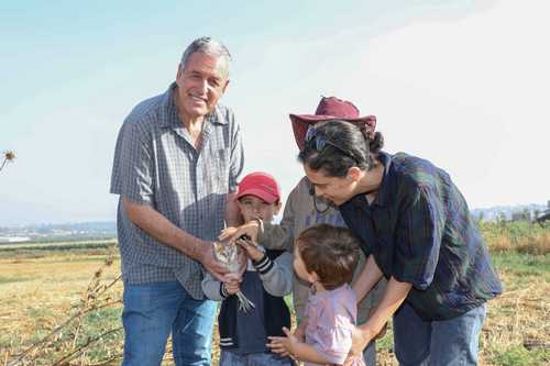 טיבוע תנשמות