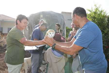טיבוע תנשמות