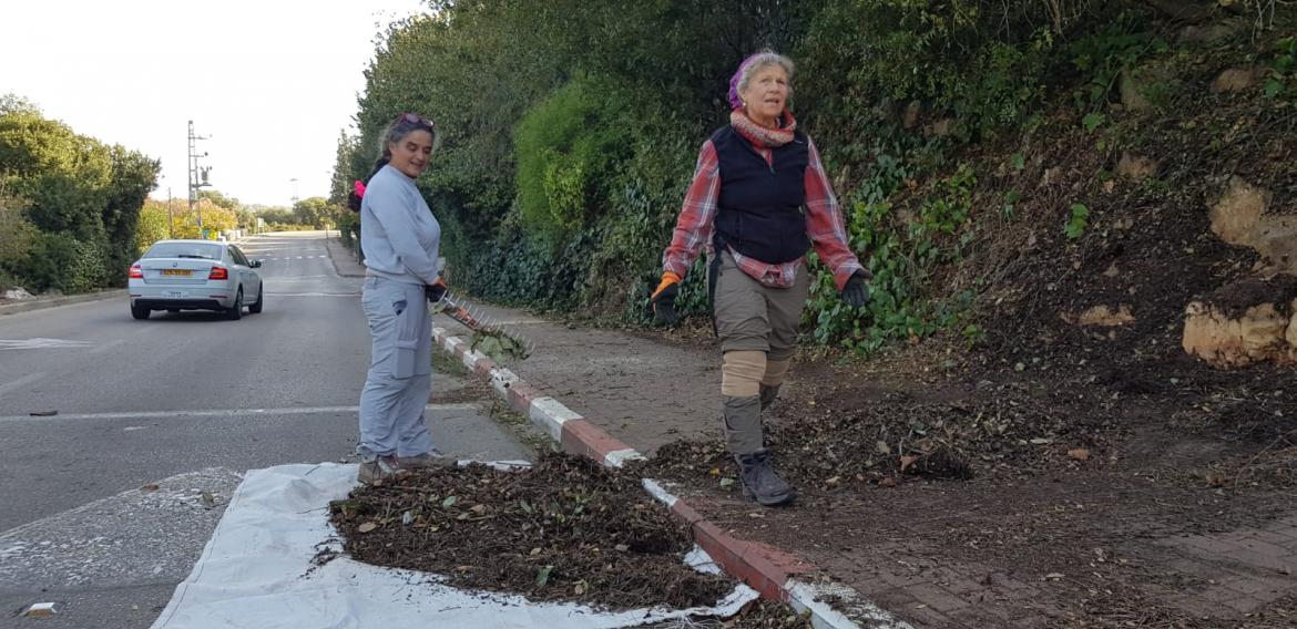 שבילאי תמרת