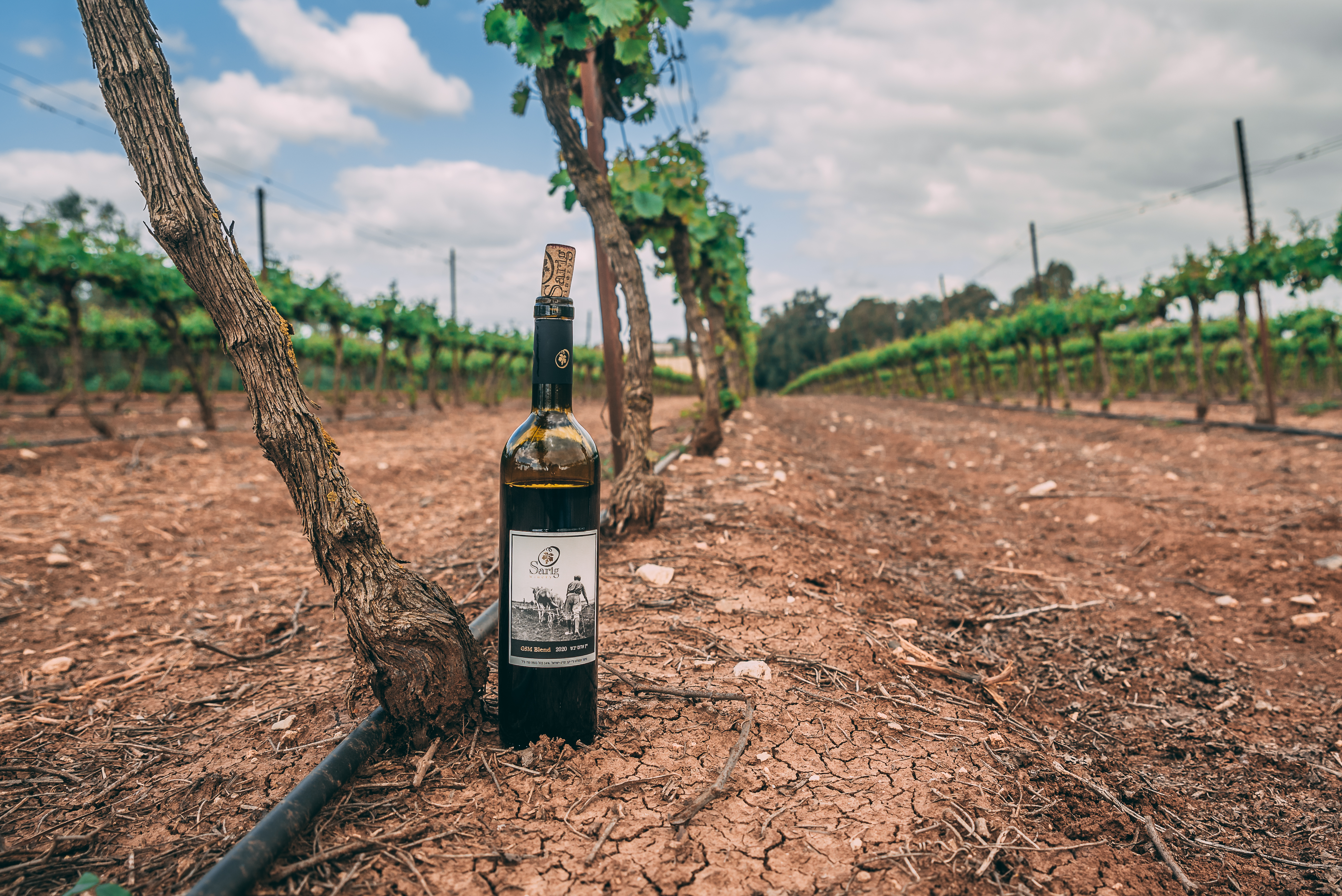 בקבוק יין מיקב סריג