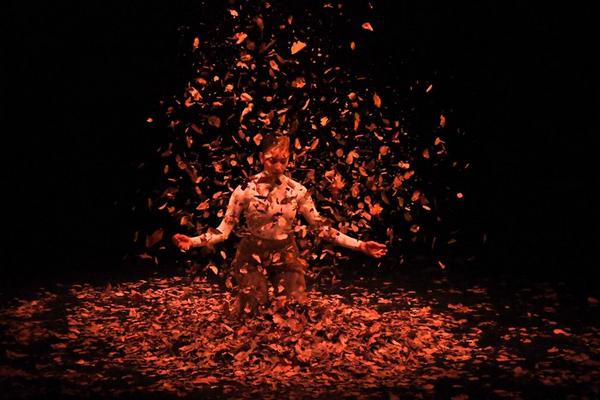 ערב עבודות אישיות של בוגרות המגמה למחול בבית האמנויות