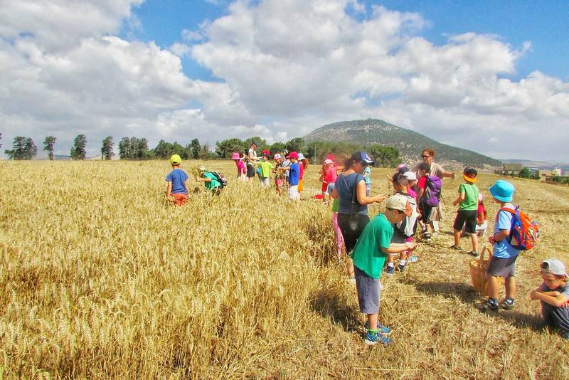 פעילות מוזיאון עין דור
