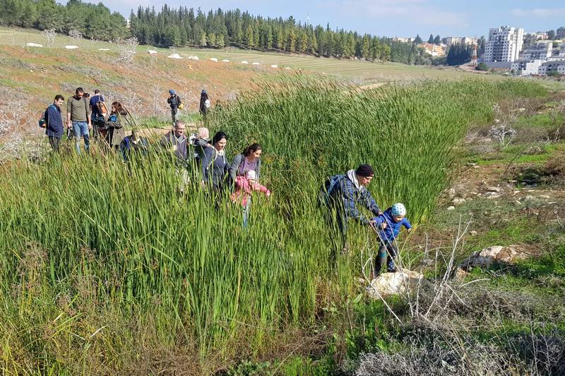 מטיילים בצעד איתן