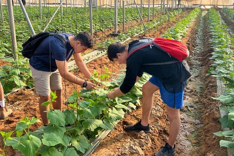 תלמידים עובדים בחקלאות