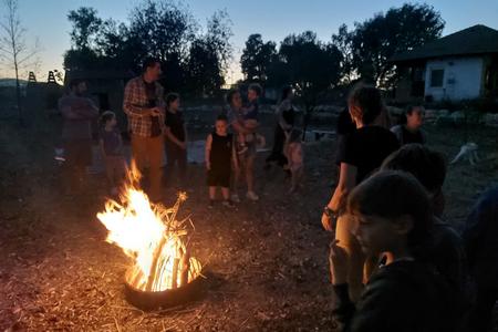 פעילות תאוורות