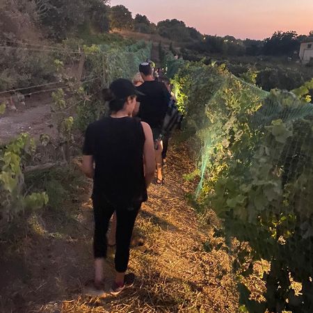 בוצרים ונהנים במשק אופיר