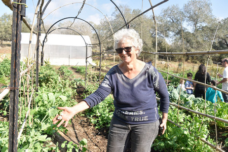 נובמבר הירוק בקיבוץ אלונים - פעילות בטבע