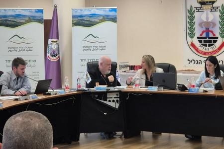 מליאת האשכול