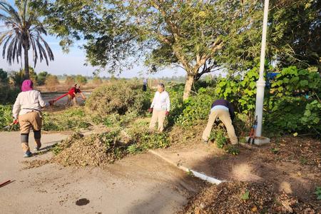 התנדבות בחולית
