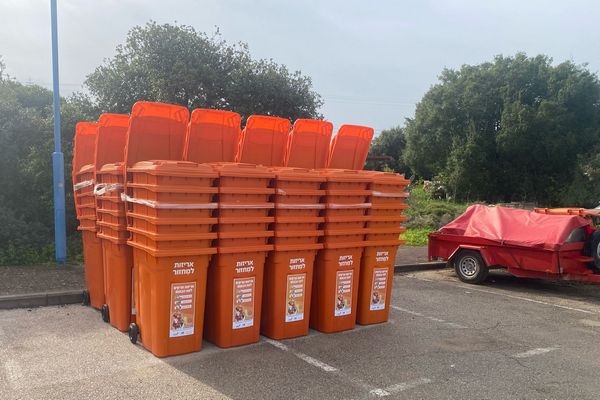 פחים כתומים