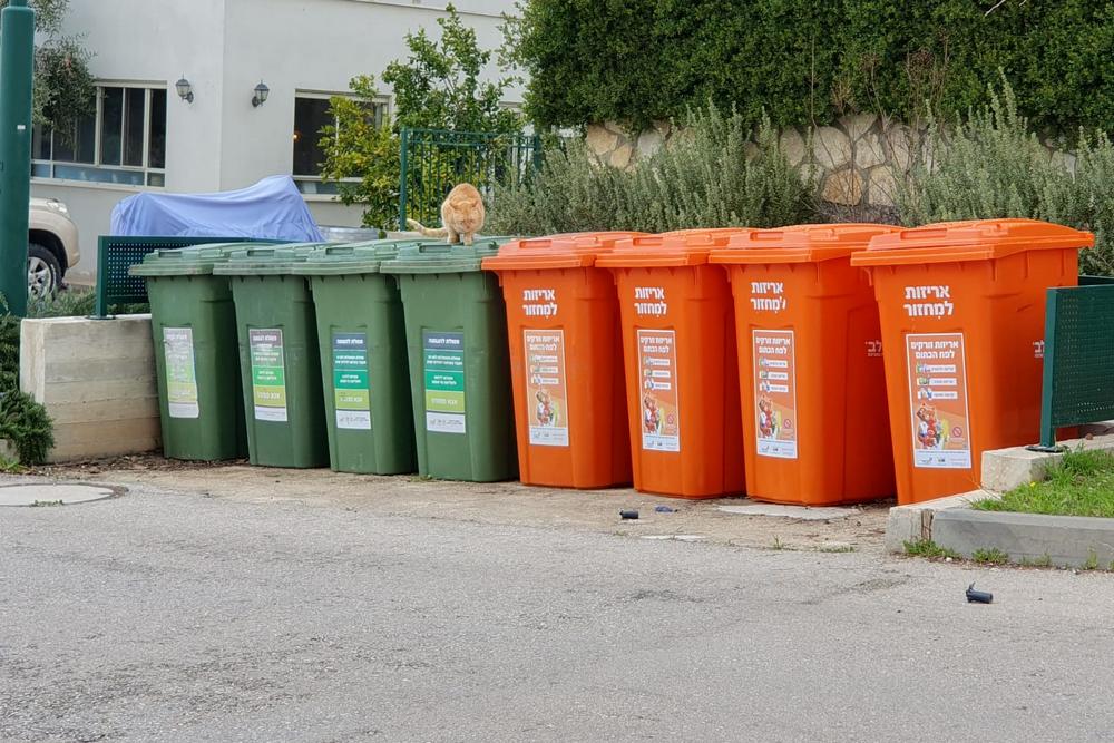 פחים ירוקים וכתומים