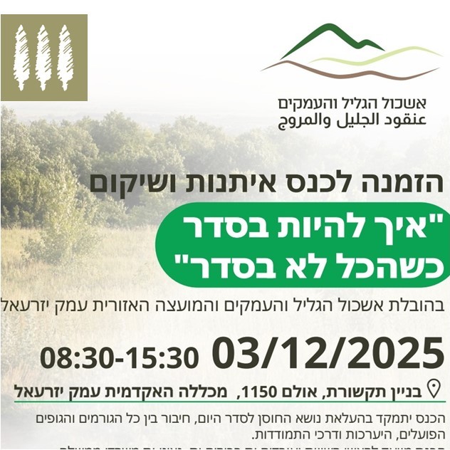 הזמנה לכנס איתנות ושיקום