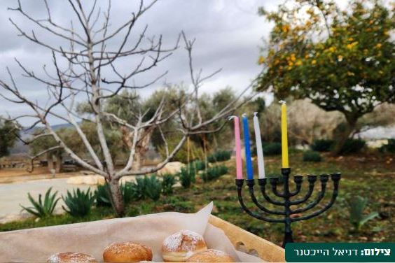 גן לאומי ציפורי – דניאל הייכטנר