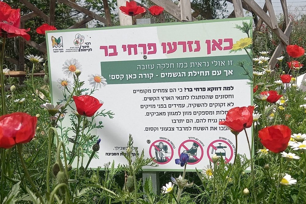 שלט: כאן נזרעו פרחי בר