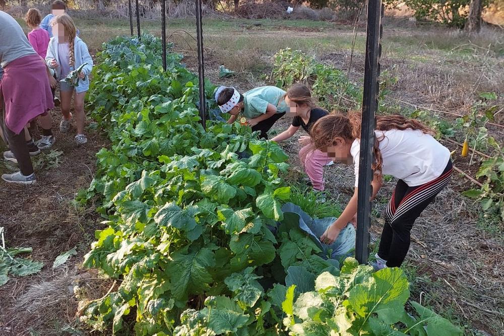 ילדים וילדות בגינה הקהילתית