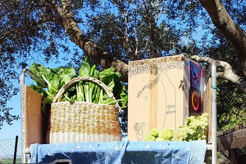 תוצרת מהגינה