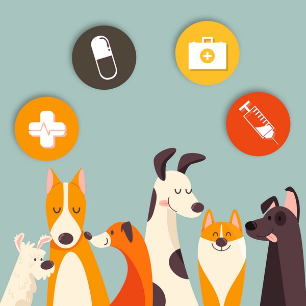 כלבים מצויירים