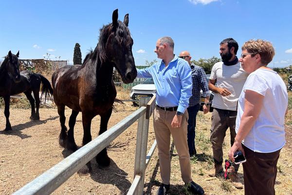 בכירי.ות מחוז צפון במשרד הבריאות בסיור במרחבי המרפא הפועלים במועצה